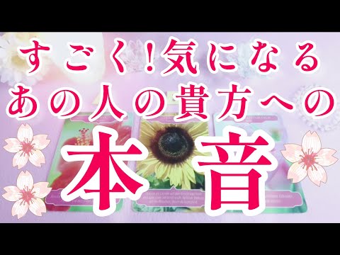 すごく気になる‼️😳あの人の貴方への今の本音🌈🌞片思い 両思い 複雑恋愛&障害のある恋愛状況 復縁💌🕊️～🌈タロット&オラクル恋愛鑑定🌸🌸🌸