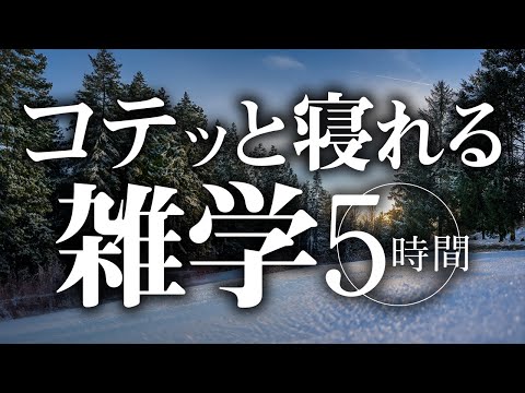 【睡眠導入】コテッと寝れる雑学5時間【合成音声】