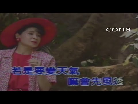 方瑞娥 變心MV