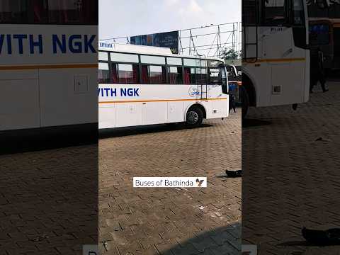 ngk travels bathinda 🥀🥀 amazing bus shorts 🥀🥀 buses of Bathinda 🥀🥀 #trending #bus #travel #ngk #bob