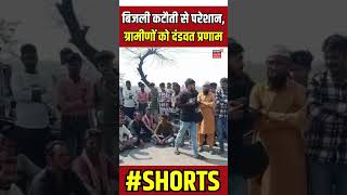 Shorts : बिजली कटौती से परेशान, ग्रामीणों को दंडवत प्रणाम | MP news | Vidisha | Power Cut Problem