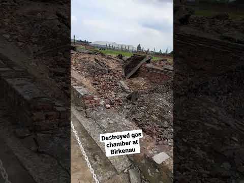 Destroyed gas chamber at Birkenau PL #shorts #2022travel