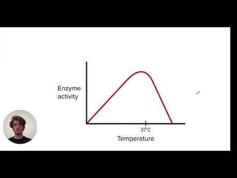 MCAT Question of the Day: Enzyme Dynamics