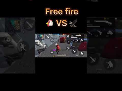 Chicken Vs Bird Free Fire