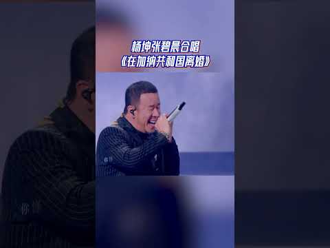 杨坤张碧晨合唱《在加纳共和国离婚》 #天赐的声音