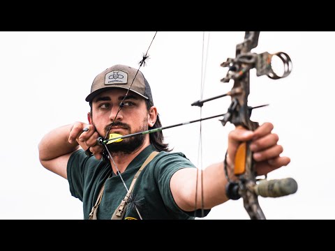 Do You Really Need A New Bow? PAWN SHOP vs FLAGSHIP