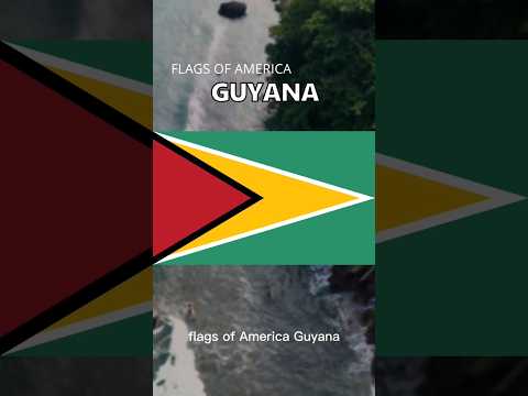 Flags of America: Guyana 🇬🇾 #flags #america #history