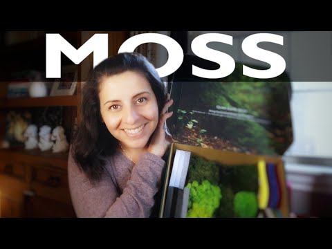 How to use MOSS // Biophilia // Sustainable Design Material