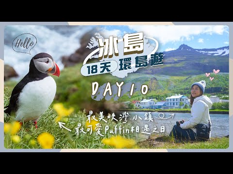 【冰島18天環島遊】DAY10 近距離與超多Puffin北極海鸚相遇🥰＋遊覽最美峽灣小鎮「塞濟斯菲厄澤Seydisfjordur」＋發夢王大歷險之93公路！