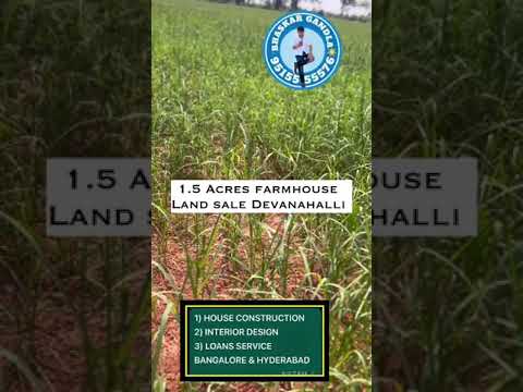 1.5 Acres Farmhouse land sale || Devanahalli area, close to Bangalore International Airport