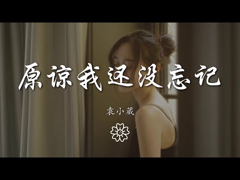 袁小葳 - 原諒我還沒忘記『原諒我還沒有忘記你的名字』【動態歌詞Lyrics】