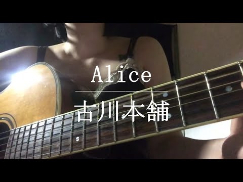 Alice / 古川本舗【Cover】