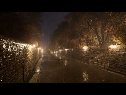 Misty Alley Where Rain Falls 8 Hour | Rain on Street | Rain Sounds for Sleeping