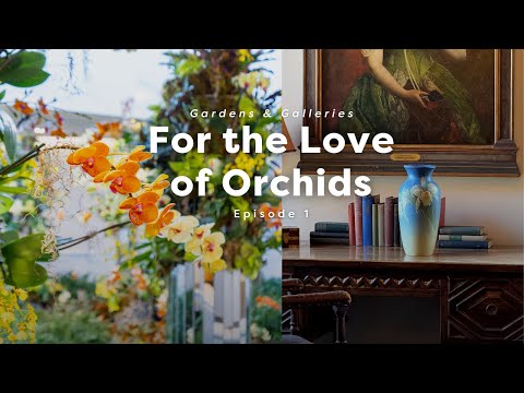 For the Love of Orchids | Gardens & Galleries - Episode 1