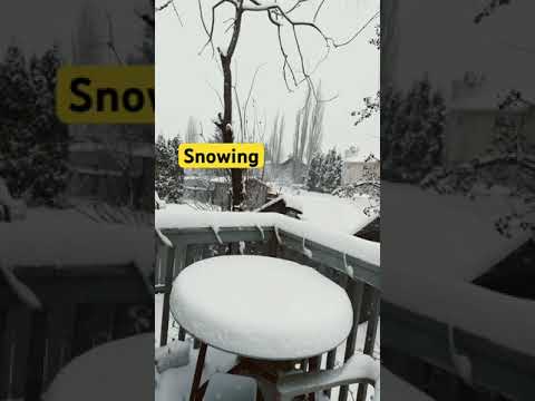 #snowing #shortvideo #highlights #everyone #friends  #view