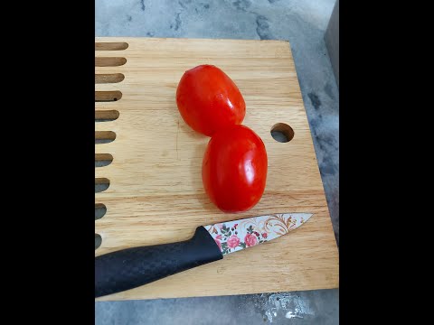 Seedling Tomato in Home Garden #tomato