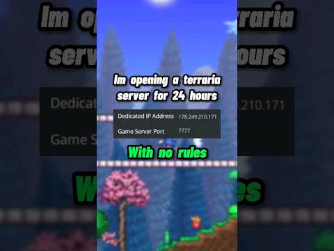 I'm opening a Terraria server for 24 hours, with no rules...