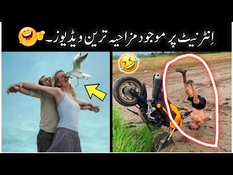 The Funniest Videos On Internet 😜😂 - viral funny moments caught on camera