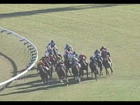 シーザリオ 2005年 寒竹賞(3歳500万下) (優勝馬：シーザリオ) (実況：ラジオNIKKEI)