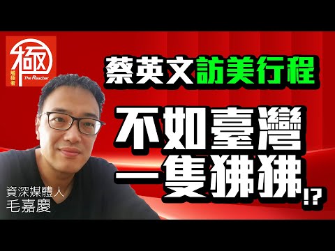 毛嘉慶｜蔡英文訪美行程低調到不如臺灣一隻狒狒？｜觸極者The Reacher