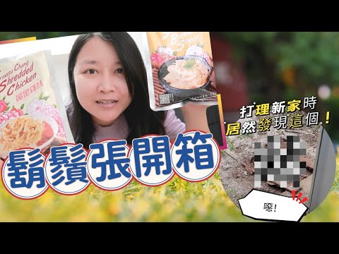 澳洲買房後，夫妻倆一起努力改善新家｜給韓國老公試吃鬍鬚張｜布里斯本 vlog