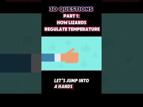 PT 1 : Lizard Adaptations: How They Control Temperature | 3-D Questions from Steamspirations