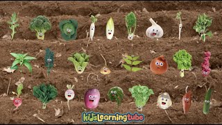 The Vegetable Song - KidsLearningTube