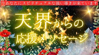 💌天界からの応援メッセージ⚜️今あなたにスピリチュアルな強い導きが来てます🌳タロット＆オラクル🪽