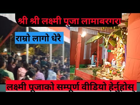 Laxmi puja Dimow Lamborgara #trending #laxmipuja Laxmi #laxipuja