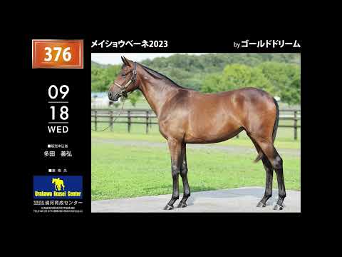 セプテンバーセール2024 - No.376 - メイショウベーネ2023