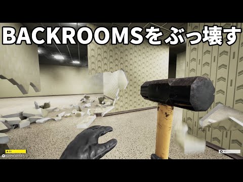 BACKROOMS BREAK DEMO