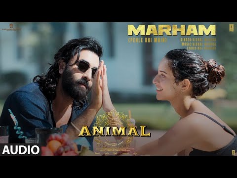 Marham (Pahle Bhi Main) | Animal | Vishal Mishra | Ranbir Kapoor, Tripti Dimri