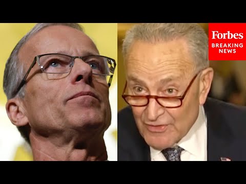 BREAKING NEWS: Schumer Holds Press Briefing After Kamala Harris Loss, Thune Becoming Majority Leader