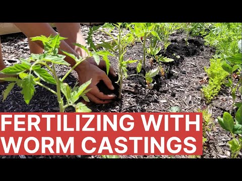 Hands Down #1 BEST Fertilizer for Your Garden