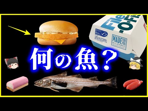 【ゆっくり解説】マックのフィレオフィッシュは何の魚⁉️「スケソウダラ」とは何者なのか？を解説/トランプ大統領の好物⁉️タラコにかまぼこ…貴重な水産資源