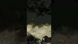 ASMRAMBIANCE.BlackBubbles&Sepia.GloriaWimberley #ASMR #NATURE #WATERSOUNDS