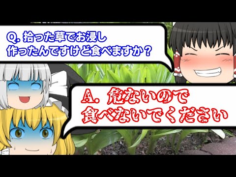 ゆっくり毒物vol.22　イヌサフラン　【ゆっくり解説】