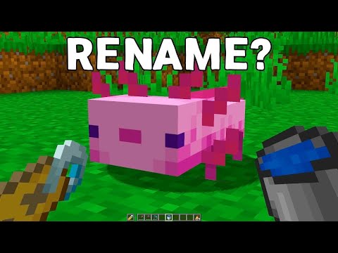 How Rename Axolotl Without Name Tag? 15 Minecraft Secrets🔥