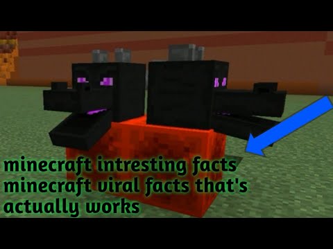 minecraft intresting facts you didn't know #shorts