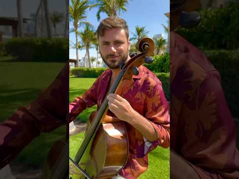 HAUSER - Quando Quando Quando 🎻🌴#hauser #quandoquandoquando  #music