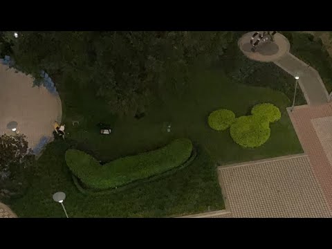 Walt Disney World’s Electrical Water Pageant from The Contemporary Resort