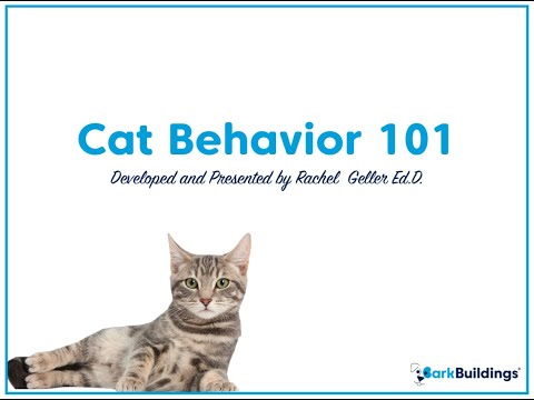 Cat Behavior 101 with Bark Buildings and Dr. Rachel Geller