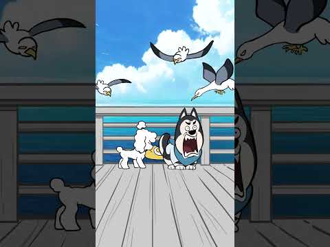 Fighting the Seagulls: NO.2 #animation #cartoon #comics #shorts #funny