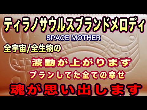 SPACE MOTHER 必ず波動が上がります　全宇宙・全生物が幸せになり　生まれる前にプランしていた幸せを魂が思い出します