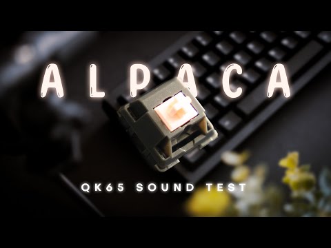 Alpaca Switches Sound Test Showcase (Lubed, QK65)