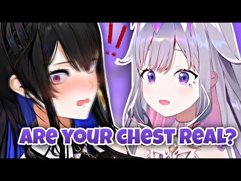 Biboo asked Nerissa this because there were rumors that her chest wasn't real [HololiveEN]