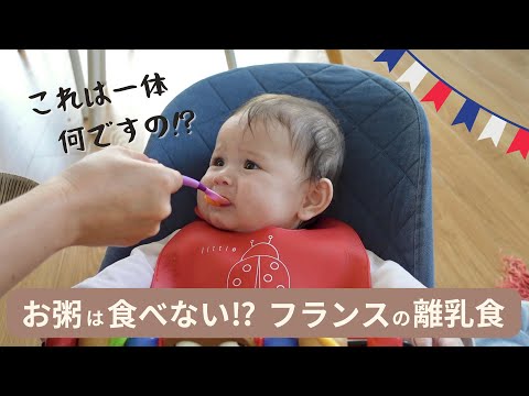 【初めての離乳食】フランスの離乳食はお粥じゃない？