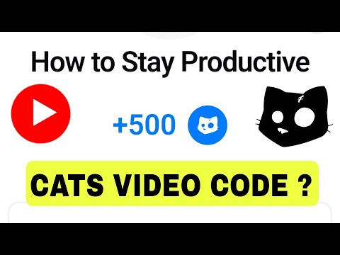 How To Stay Productive Cats Video Code Today 🤩Cats Youtube Video Code🔥Cats Video Code New