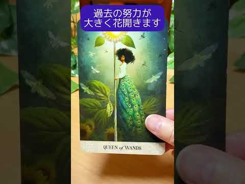 【タロット】🌻今のあなたに必要な一言メッセージ🃏🍀🔮