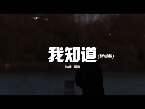 澤陽 - 我知道 (煙嗓版)『我知道你還是愛着我，雖然分開的理由 我們都已接受，你知道我會有多難過，所以即使到最後 還微笑着要我加油。』【動態歌詞MV】